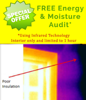 EnergyAudit-nobutton