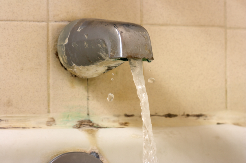 Is Black Mold In Bathroom Harmful how dangerous is the mold in your bathroom? - city renovations Is Black Mold In Bathroom Harmful how dangerous is the mold in your bathroom? - city renovations